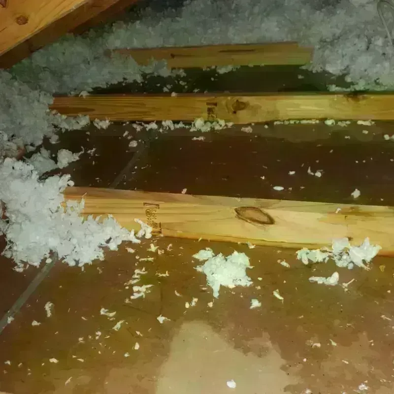 Attic Water Damage in Highland Beach, FL