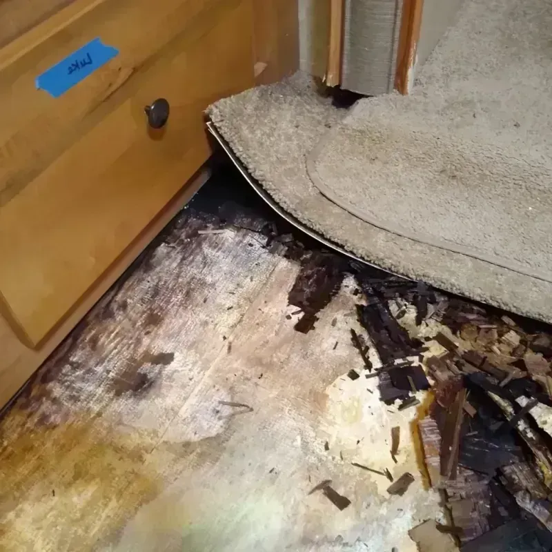 Wood Floor Water Damage in Highland Beach, FL